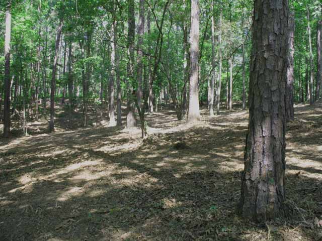 Image of Property