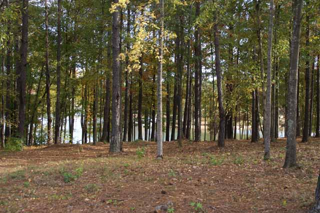 1361 Swift Creek image 1