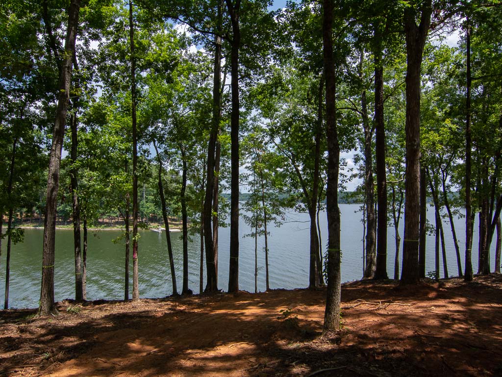 1040 South Shoals Drive image 6