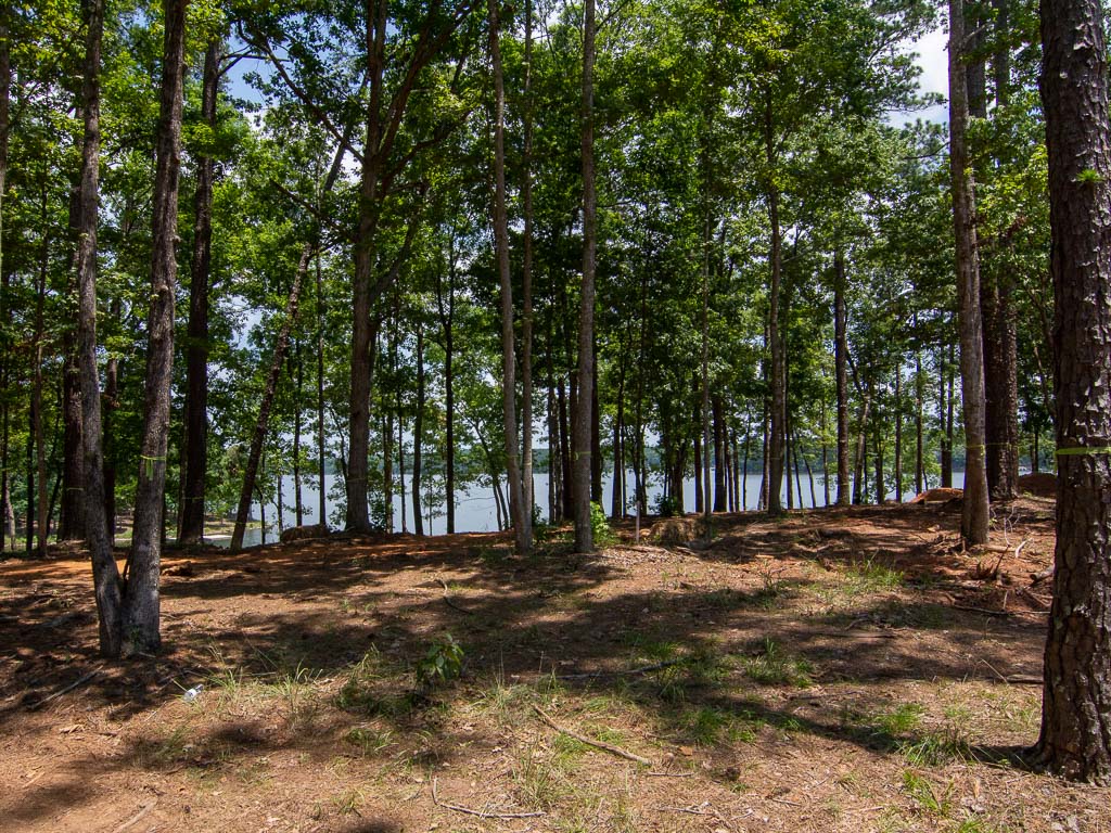 1040 South Shoals Drive image 7