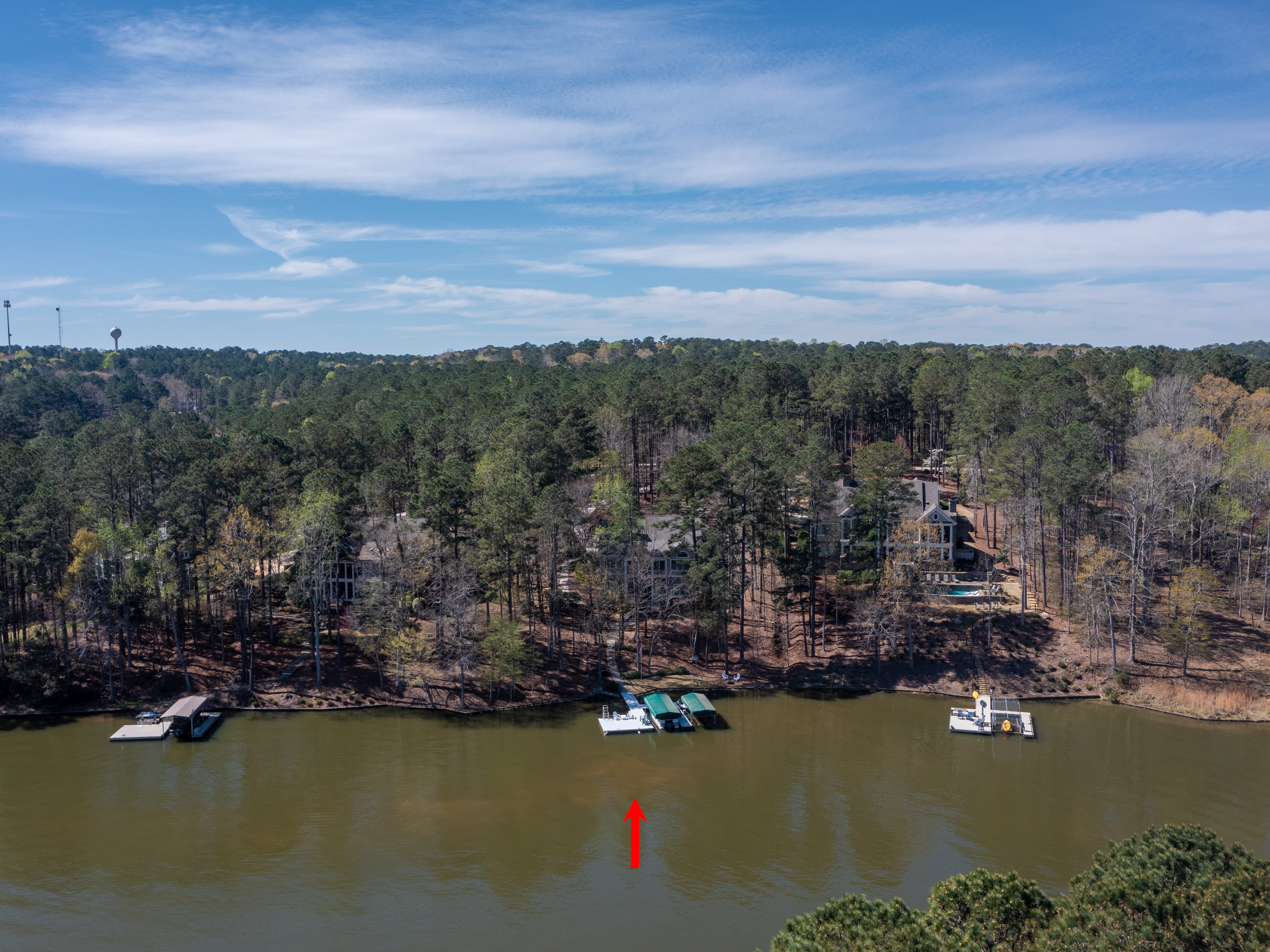 1141 Davison Drive image 39