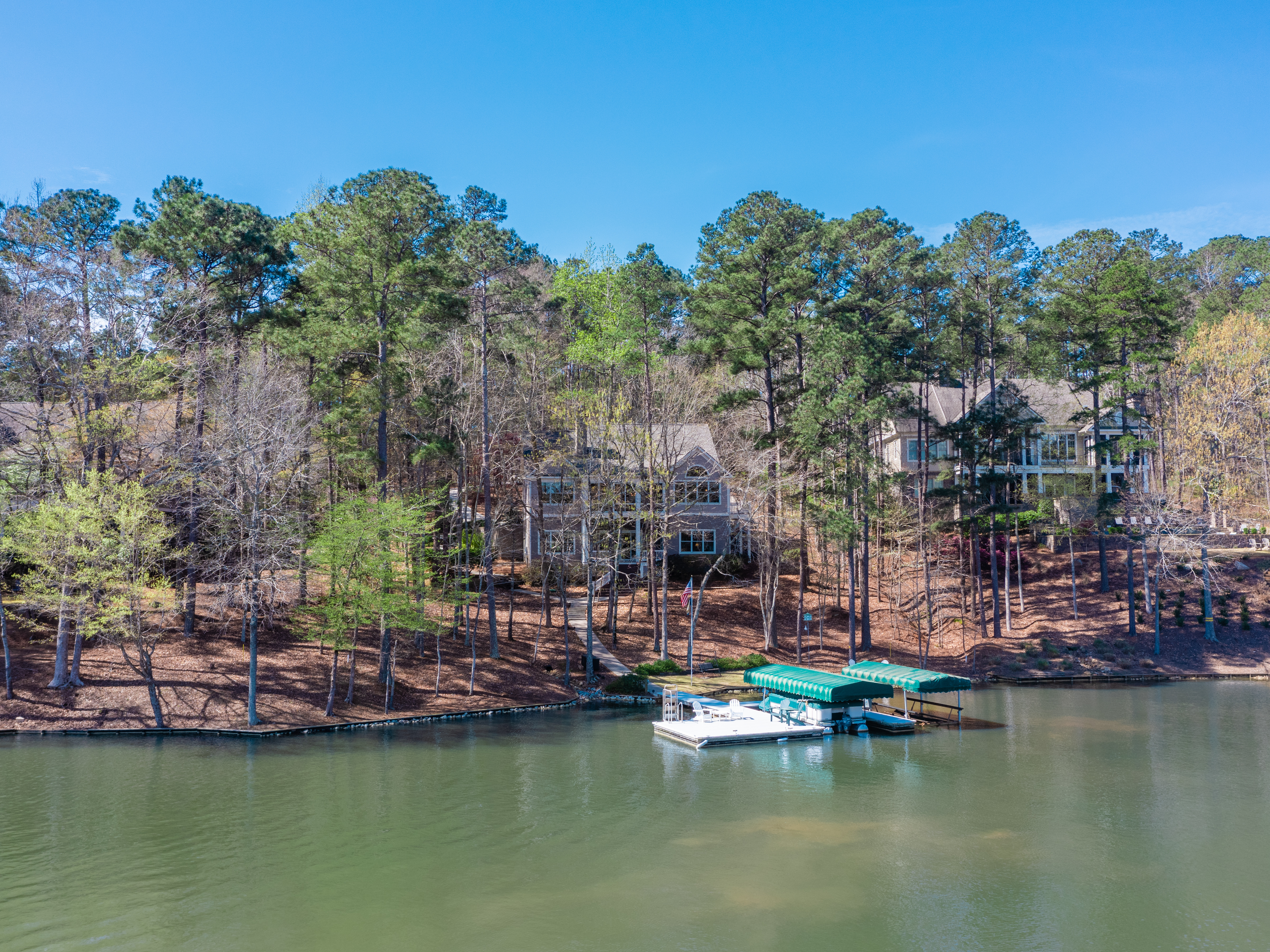 1141 Davison Drive image 29