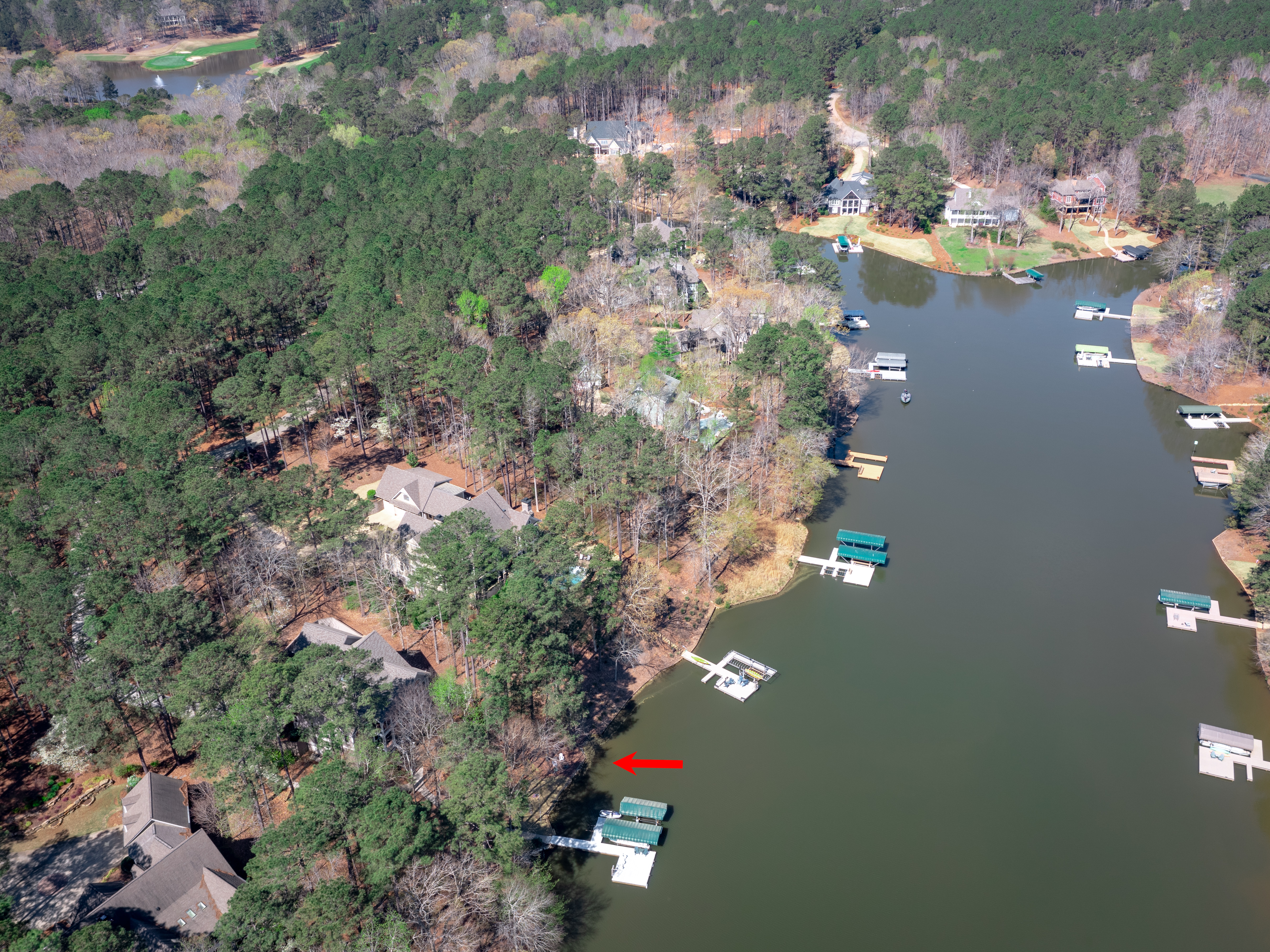 1141 Davison Drive image 35