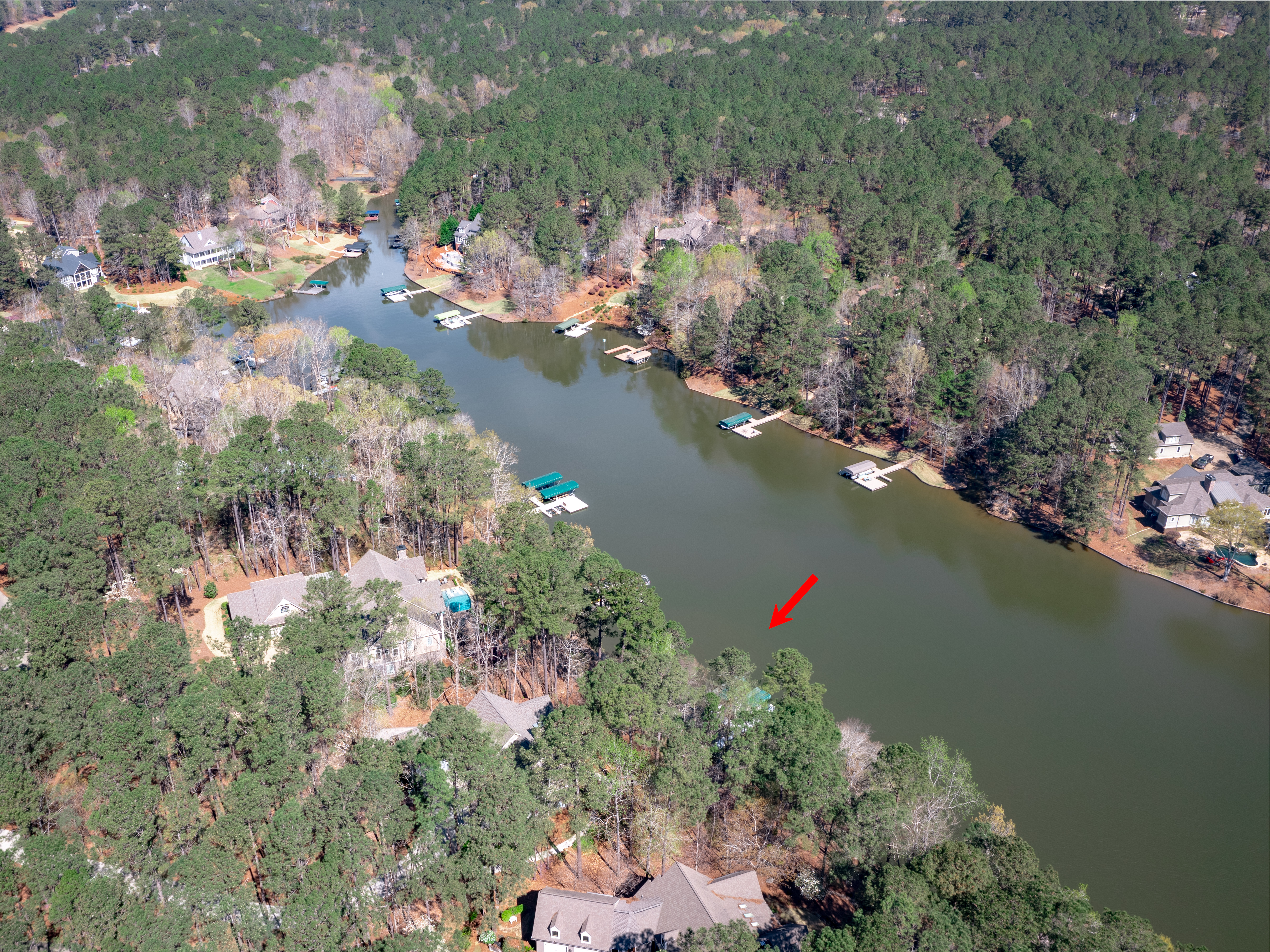 1141 Davison Drive image 36