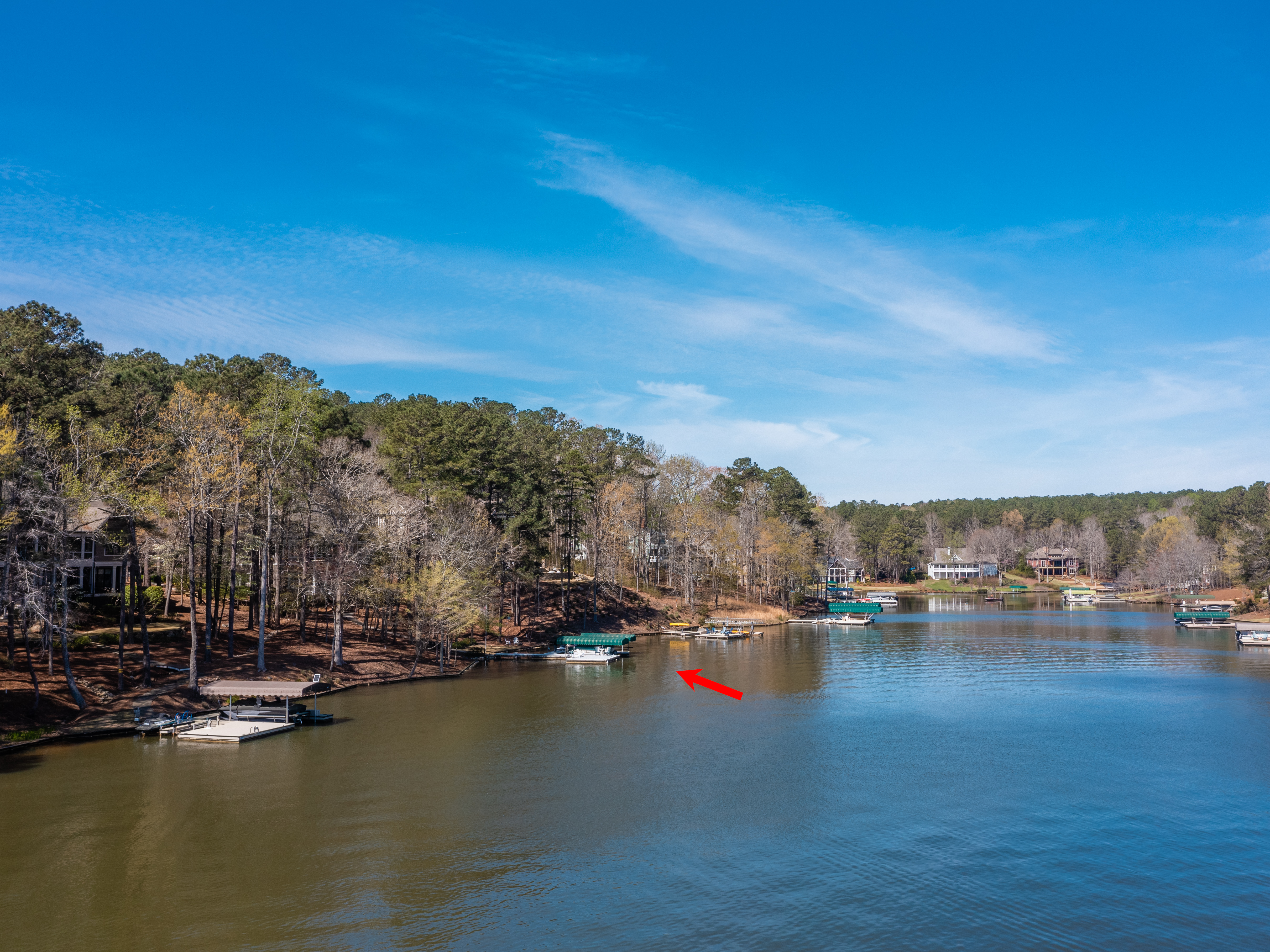 1141 Davison Drive image 38