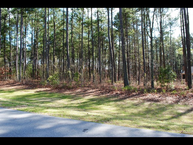 Image of 1080 Big Water Circle, Lot 035