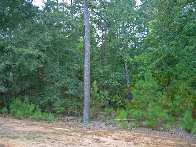 Image of Property