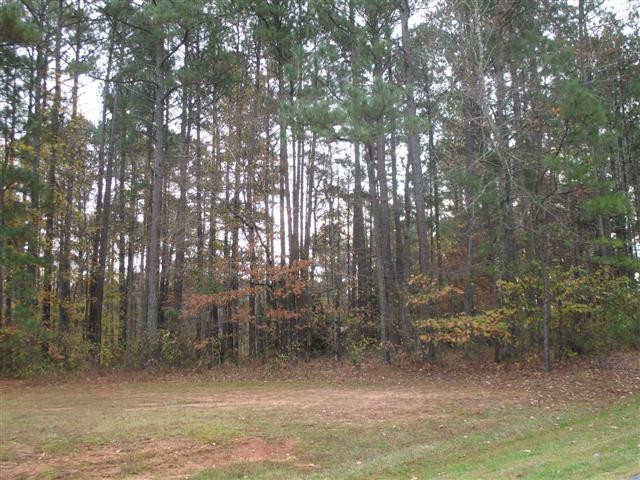 Image of Property