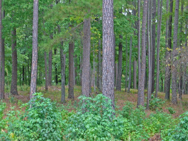 Image of Property