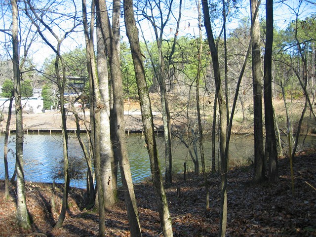 Image of Property