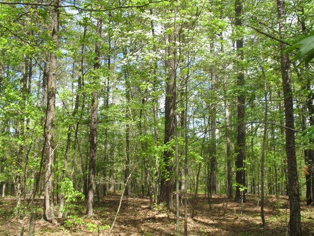 Image of Property
