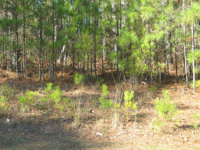 Image of Property