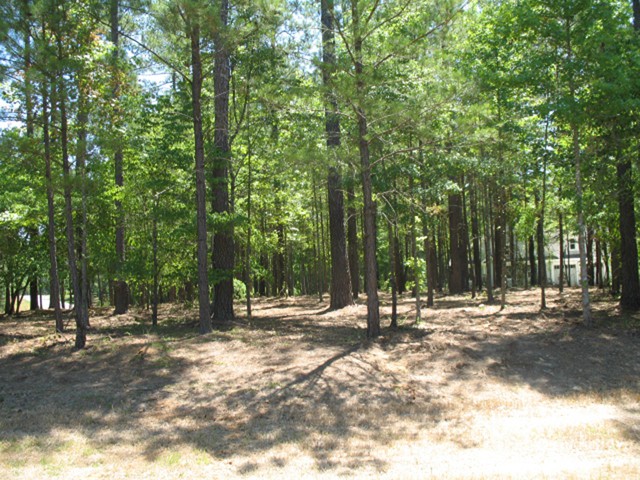 Image of Property