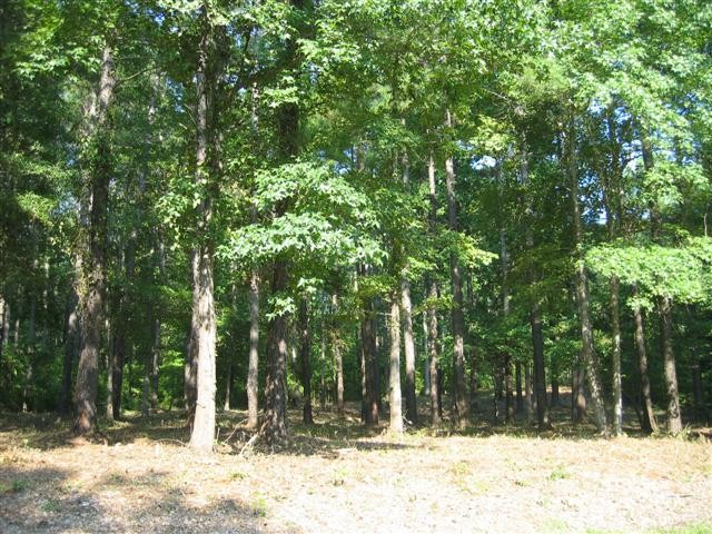 Image of 128 Carolyn Drive, N.E., Lot 053