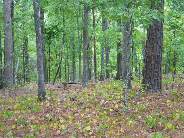 Image of Property