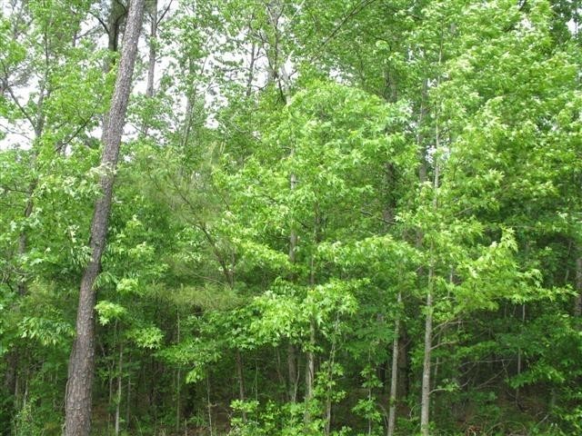 Image of Property