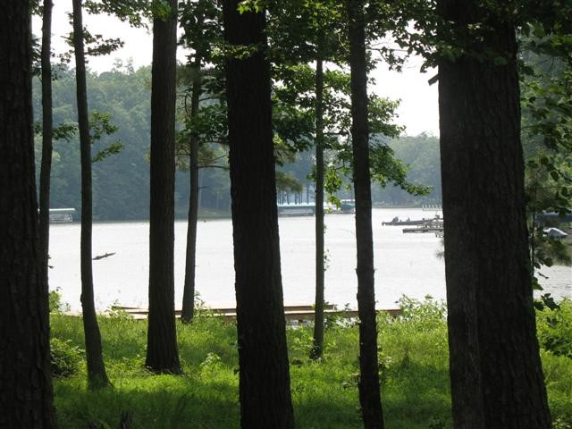 Image of Property