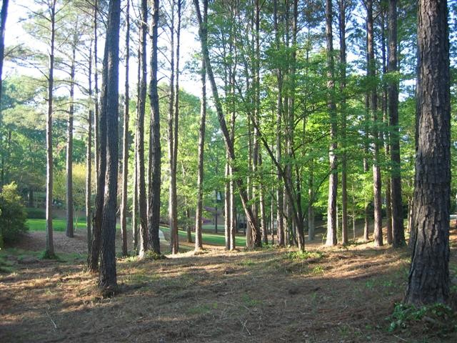 Image of Property